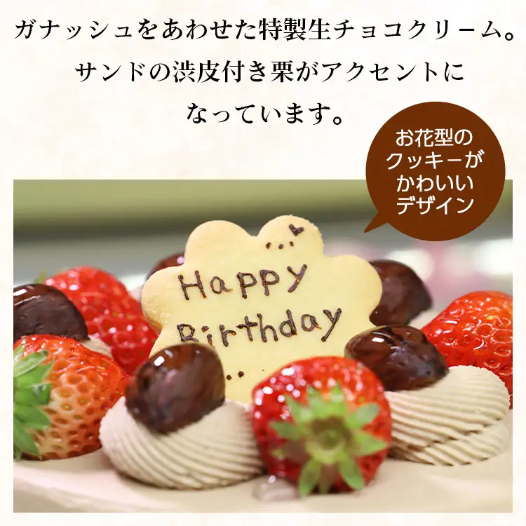 誕生日チョコケーキ 6号サイズ | チョコケーキ it-0067