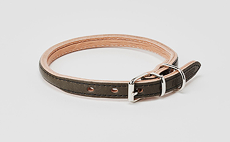 首輪goodcollar犬猫ペット用品首輪【4号】 クリ