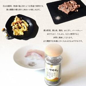 藤枝の竹炭塩 黒・白セット | 塩 塩 塩 塩