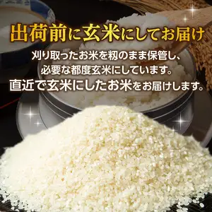 丹生米の里丹川のお米 ヒノヒカリ玄米 5kg B02007