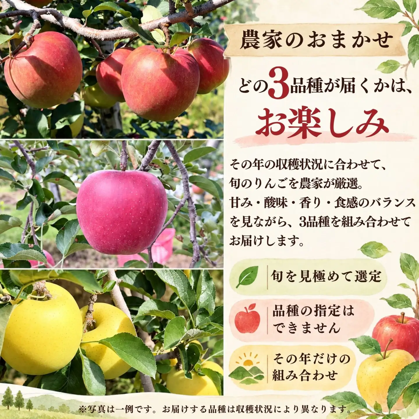 【先行予約2027年10月中旬発送予定】農家おまかせ 3品種りんご詰め合わせ 1箱(5kg) 003-011 