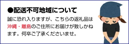 【果汁100%】無添加！贅沢絞りの清見オレンジストレートジュース1000ml×4本セット【2023年3月頃から順次発送予定】【nuk123】