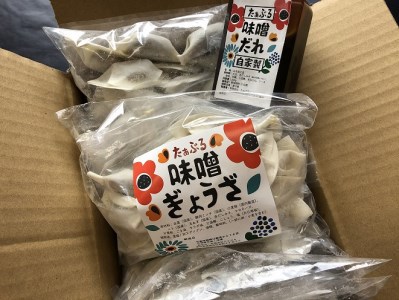 居酒屋のおかあちゃん手作り ひと口味噌ぎょうざ 100個(20個×5袋) H136-033