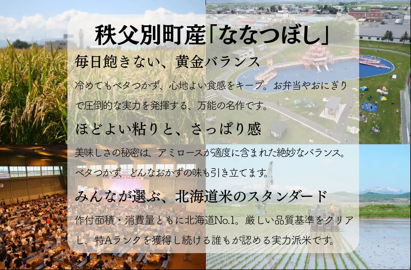 【新米予約受付中】令和8年産ななつぼし定期便40㎏(隔月10㎏×4か月)【R7UB-01】
