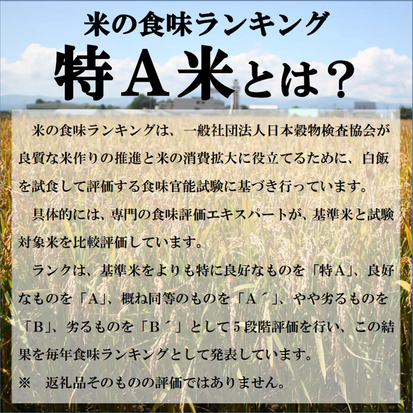 【新米予約受付中】令和8年産ゆめぴりか定期便80㎏(毎月10㎏×8か月)【R7UC-02】
