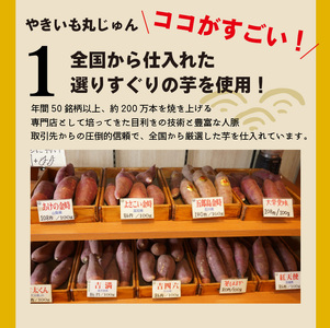 【ジャパンフードセレクション 金賞】 焼き芋 蜜たっぷり！冷やし焼き芋 ひえひえ君 紅はるか 1kg（4～6袋） 芋スイーツ H047-042