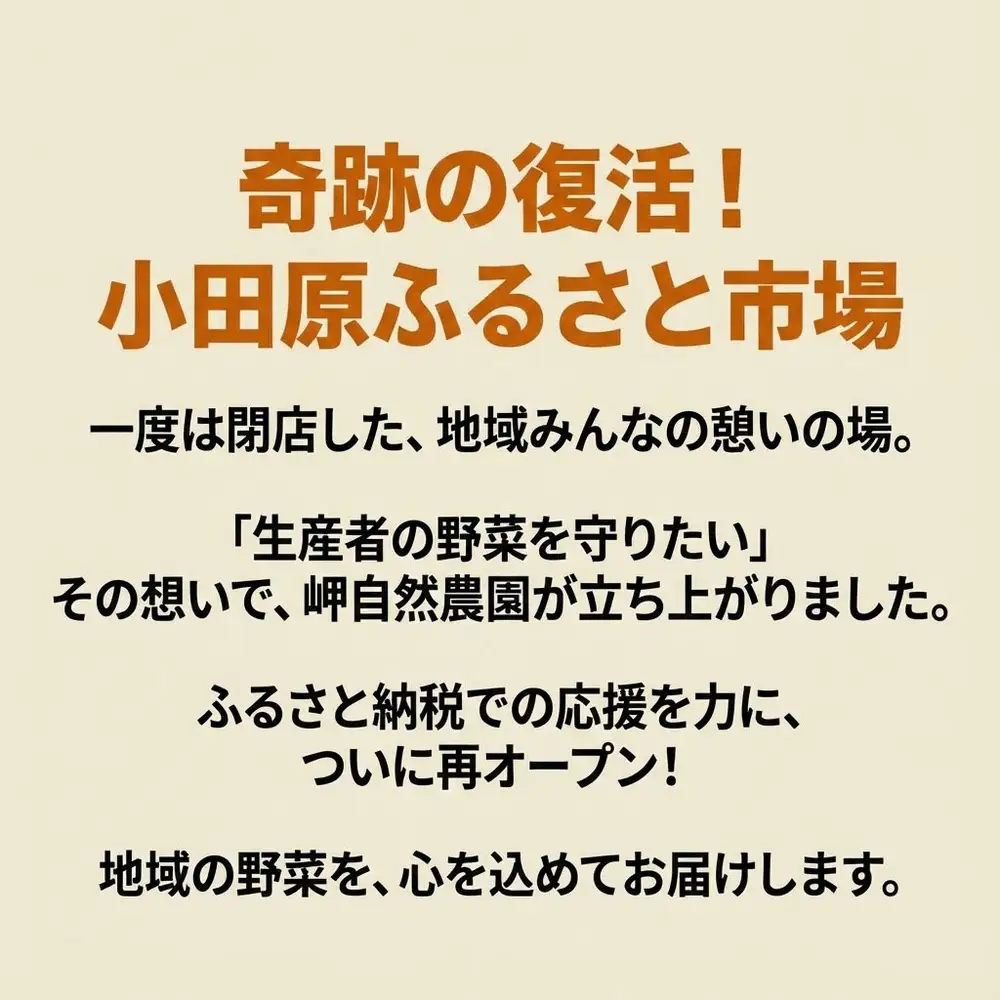 ひのひかり 令和8年産無洗米 ヒノヒカリ6kg（2合真空パック×20袋）