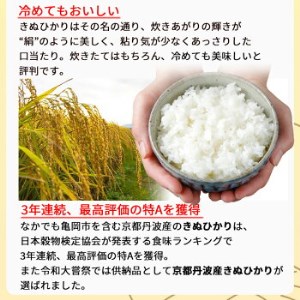 定期便 無洗米 10kg 12ヶ月 京都丹波産 キヌヒカリ 12回定期便 10kg （5kg×2袋） ×12回 計120kg 