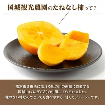 柿【2026年度発送分】国城観光農園のたねなし柿(家庭用・訳あり)約7.5kg【1143474】