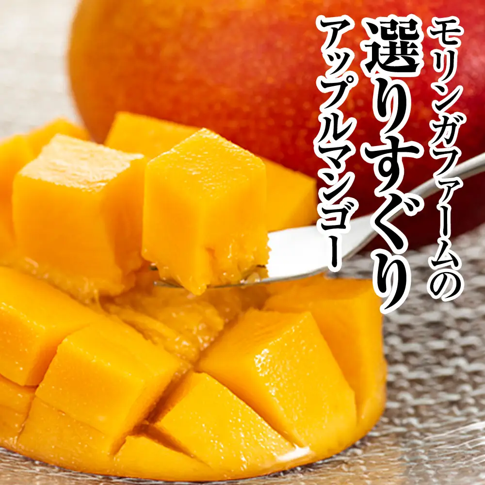 【2027年発送】直売所で厳選 沖縄県産「完熟マンゴー」1kg