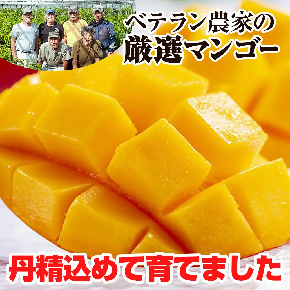 【2027年発送】生産組合が育てる南風原の味 神里マンゴー1kg