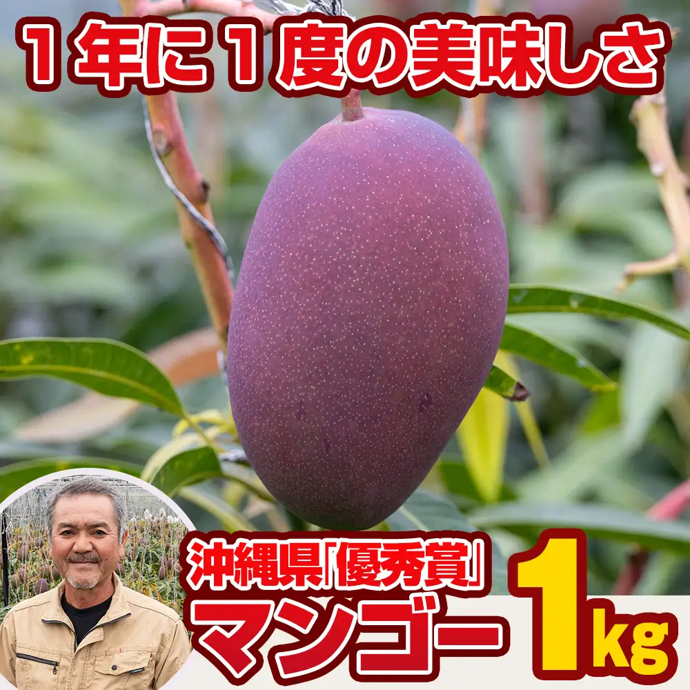 【2027年発送】芳醇な香り とろける食感 沖縄県「優秀賞」マンゴー1kg