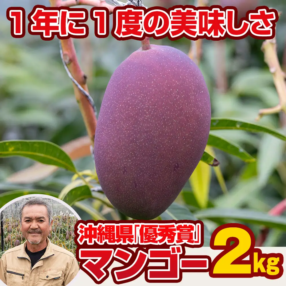 【2027年発送】芳醇な香り とろける食感 沖縄県「優秀賞」マンゴー2kg