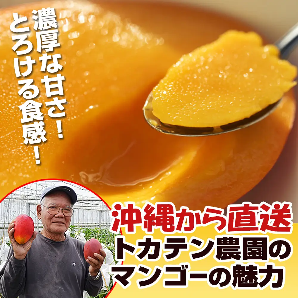 【2027年発送】濃厚な甘さ！とろける食感！沖縄県産マンゴー1kg