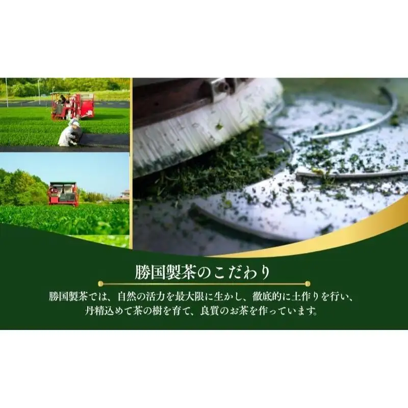 煎茶詰め合わせ 飲料類 お茶 