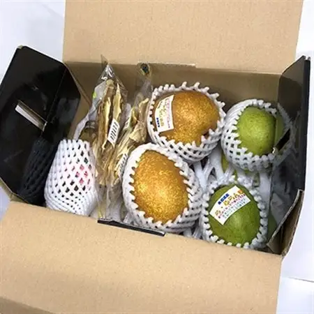 【令和8年8月～令和8年9月発送分】季節のフルーツセット(約5kg)_果物・フルーツ   くだもの_【配送不可地域：離島】【1073711】
