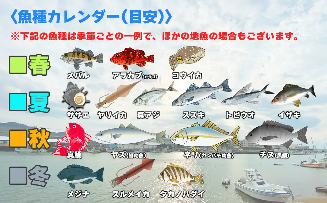 【年10回】福津の旬の魚介類こだわり定期便【随時開始】[H7017]