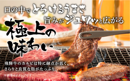 飛騨牛 カルビ 焼肉用 900g A4 A5 等級 てんから 焼肉用 [S175]