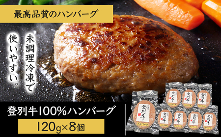 登別牛100％使用ハンバーグとのぼりべつ豚の豚丼セット