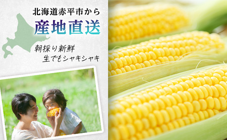 とうもろこし ゴールドラッシュ【Lサイズ10本】【先行予約】