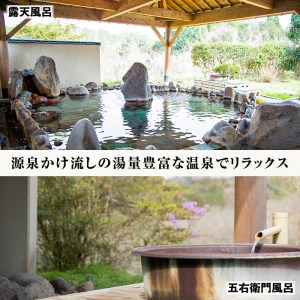 isa224 曽木の滝温泉センター入浴券(11枚・期限なし) 源泉かけ流し温泉回数券！露天風呂・サウナ・温泉プール・家族風呂完備！疲れた体の癒しやストレス解消に【大一会】