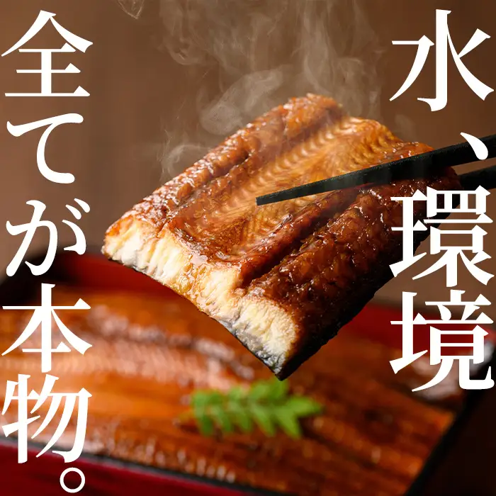 ＜定期便・全3回＞東串良町 うなぎ 蒲焼 (無頭)(2尾・計約300g・タレ、山椒付×3回) 高級 ウナギ 鰻 国産 たれ 鹿児島 ふるさと 人気【アクアおおすみ】【0304303b】