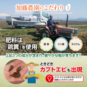 SC0673　【令和8年産 新米予約】［玄米］特別栽培米コシヒカリ　10kg(5kg×2袋)「農家直送」 KA