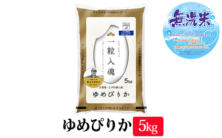 12ヵ月定期便 北海道産ゆめぴりか 無洗米 5kg 2025年産米 ゆめぴりか