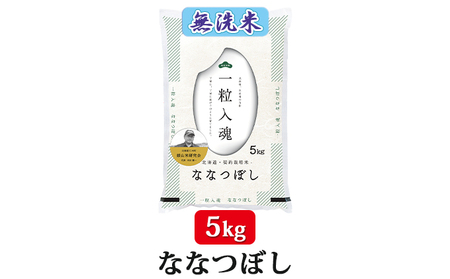 12ヵ月定期便北海道産ななつぼし 無洗米 5kg 2025年産米 ななつぼし