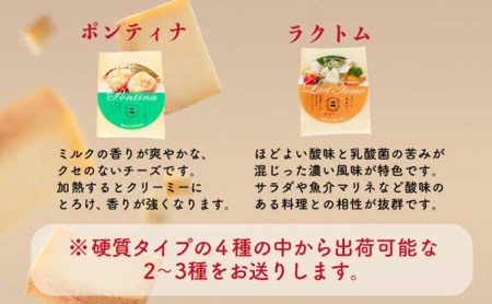 酪農館　チーズデラックスセット nr-0553