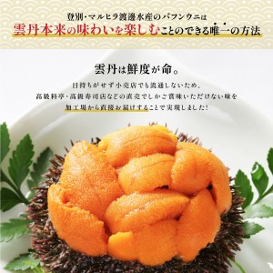 ≪規格外品1kg≫無添加エゾバフンウニ塩水パック1kg A 23年6月上旬～8月中旬迄