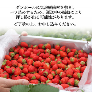 いちご【2027年発送】加工用いちご 1.7kg