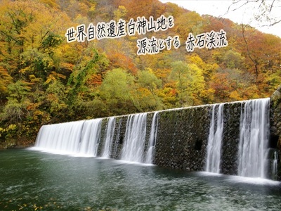 青森県鰺ヶ沢町 観光タクシープラン「赤石渓流とくろくまの滝コース」 チケット 