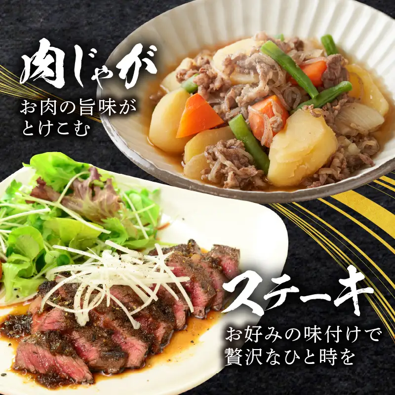 6か月お楽しみ定期便『宮崎牛スペシャル6種セット』総重量4.6kg 肉 牛 牛肉 焼肉 国産_T009-0026