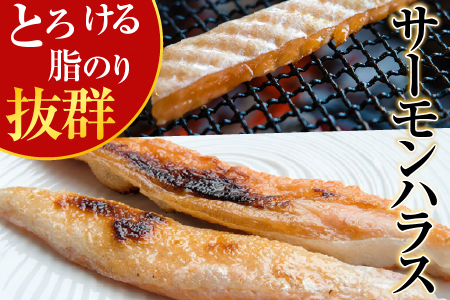 塩サーモンハラス660g＆塩銀鮭切り身1切×12P A-09032