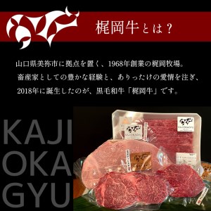 梶岡牛 プレミアムハンバーグ