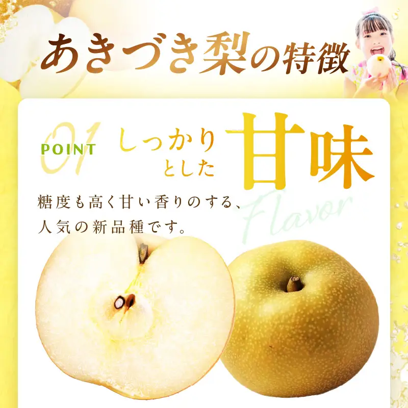 梨／あきづき【先行予約】あきづき梨 5kg（2026年9月中旬～発送）