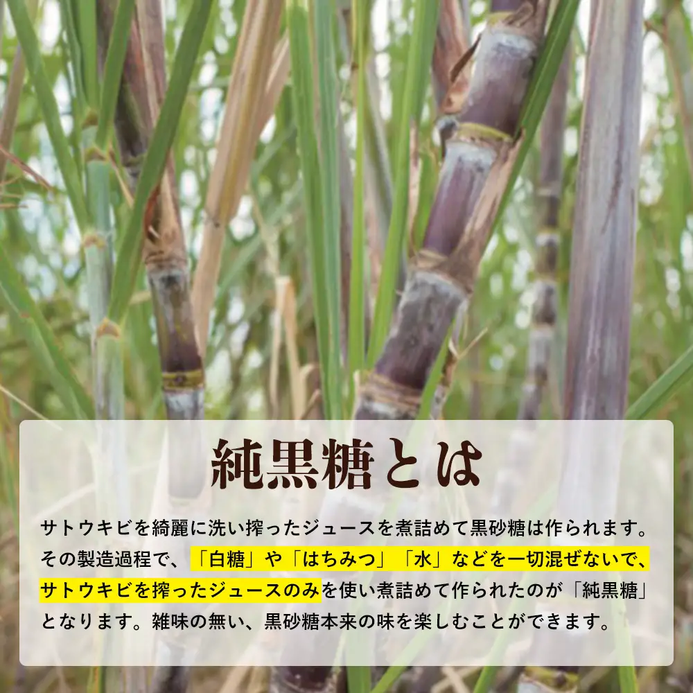 渡久地さんの愛情たっぷり「宜野座の純黒糖」 100g×5袋