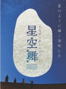 星空舞 お米 2kg×2袋 計4キロ 鳥取県産 精米 JA こめ コメ 送料無料 令和7年産  0535