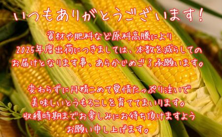 北海道産 とうもろこし 恵味 ゴールド 2L 18本 朝採り とうもろこし