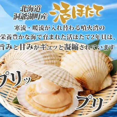 北海道産 活ほたて 2年貝 約4kg 30枚～45枚 2027年1月中旬以降水揚げ次第出荷 ほたて 帆立 ホタテ 生 貝 魚貝 魚介 海産 海鮮 貝柱 噴火湾 刺身 送料無料 北海道 洞爺湖町