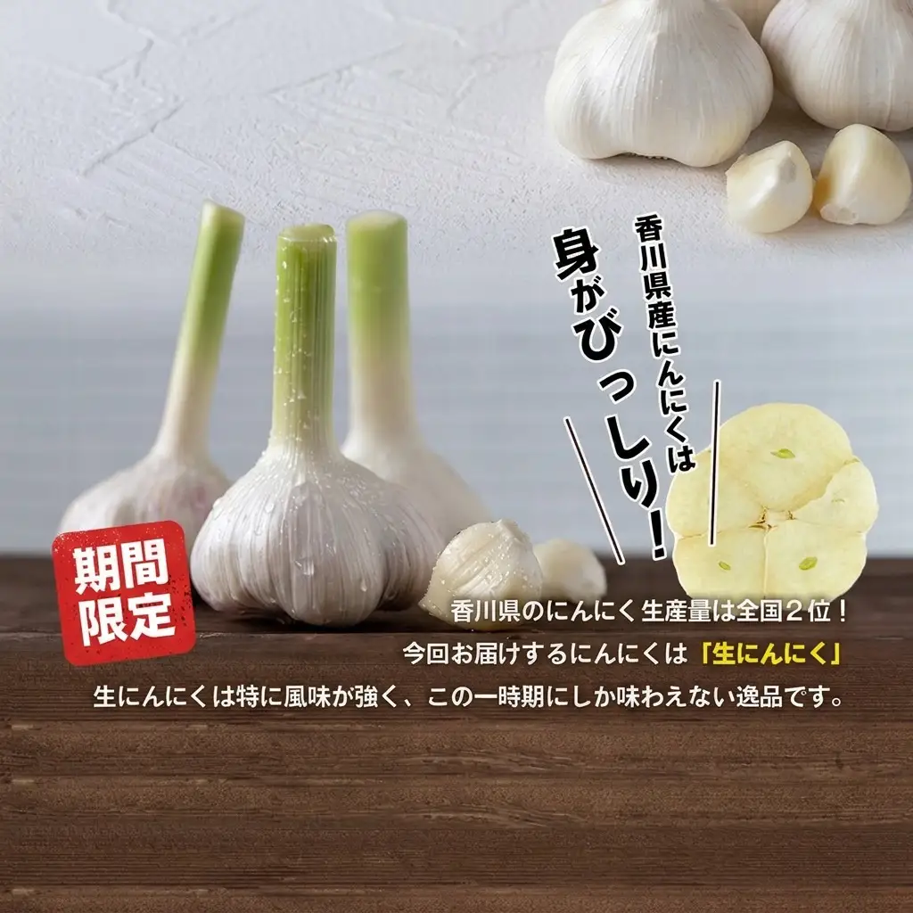 にんにく 生 香味野菜 五色青果 にんにく【約10kg バラ詰め】 【46312208】