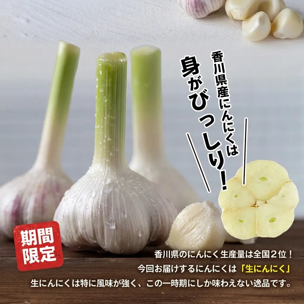 にんにく 生 家庭用 不揃い 香味野菜 にんにく【約10kg バラ詰め】 【46312207】