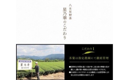 八女茶 緑茶 茶葉 星野茶 詰合せ 星乃絆 80g×3種 お茶 