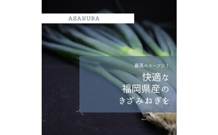野菜 カット ねぎ 3kg（1kg×3袋）長ネギ 配送不可エリア有り 