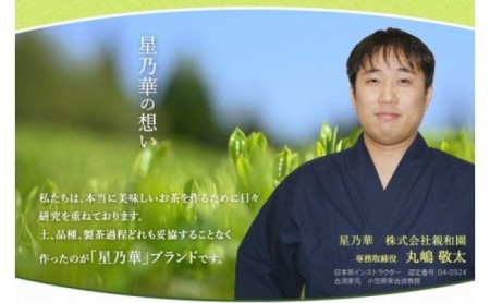 八女茶 玉露 ティーバッグ（50パック） お茶 緑茶 