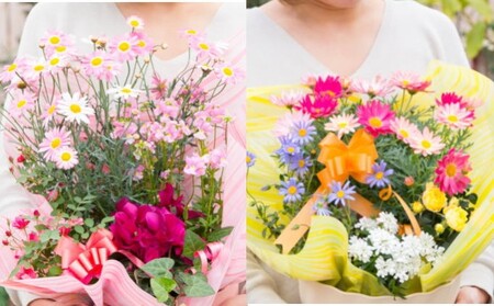 2027年【母の日 ギフト】季節のフラワーバスケット【白鉢】（オンライン決済限定） 花 