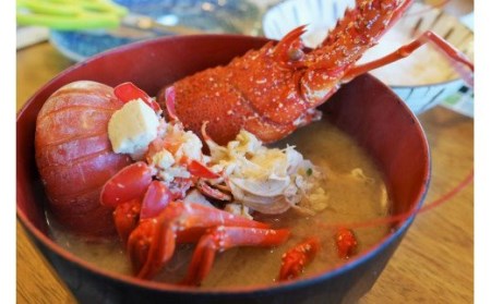  【予約 11月～順次発送】活イセエビ 1kg （2尾～3尾）黒潮が寄せる海で育った一味違う伊勢海老 【mhs105-2】