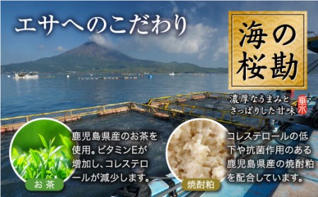 A1-0124／『海の桜勘』おためしコース