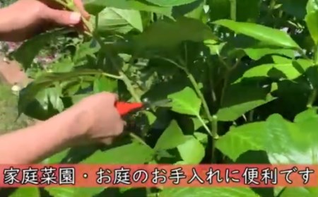 万能はさみ剣先型 　H8-91